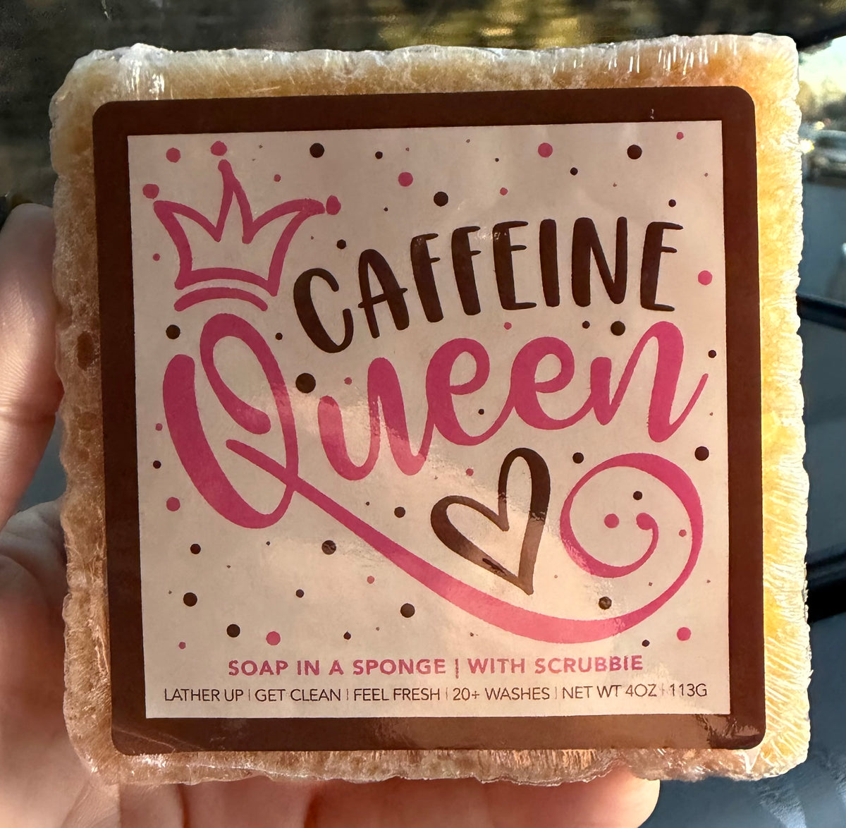 Coffee Themed Caren Sponge