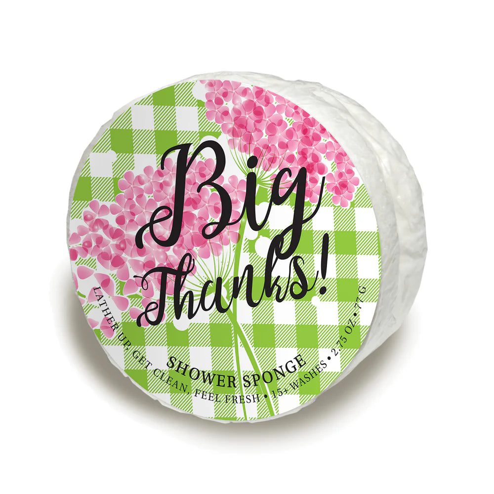 Caren Celebration Sponge Collection