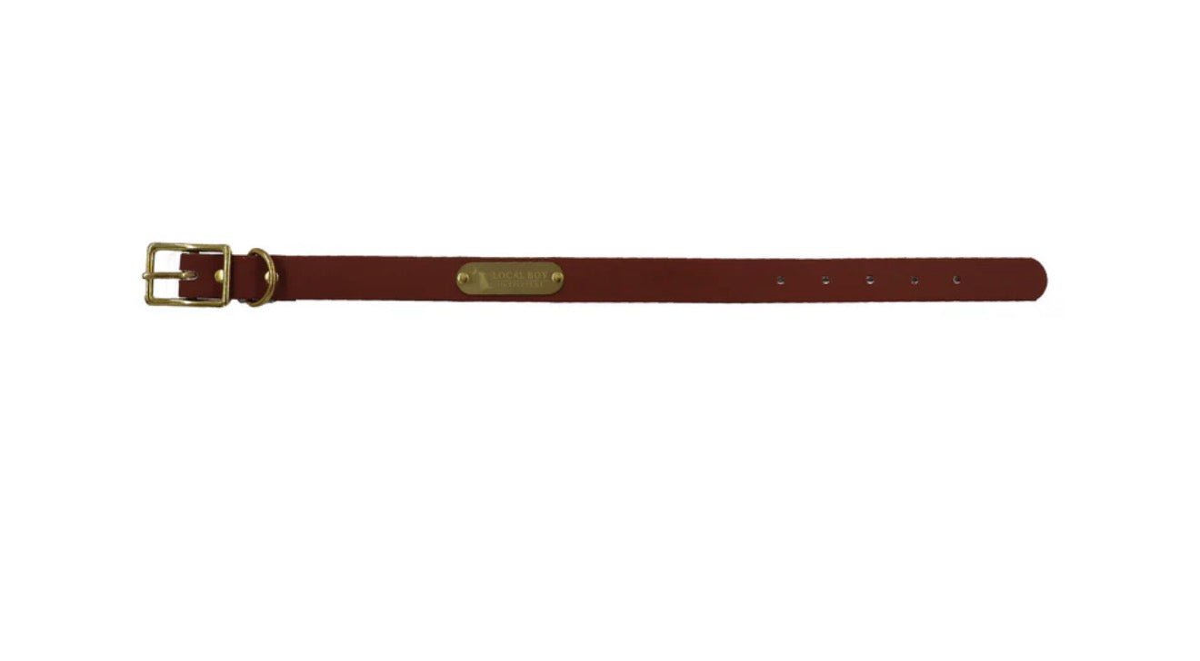 Biothane Dog Collar
