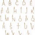 Avery Initial Charms